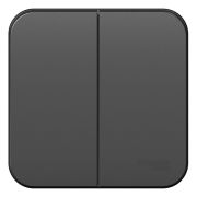 Выключатель 2-кл. ОП Blanca 10А IP20 (сх. 5) 250В с изолир. пластиной антрацит SE BLNVA105016